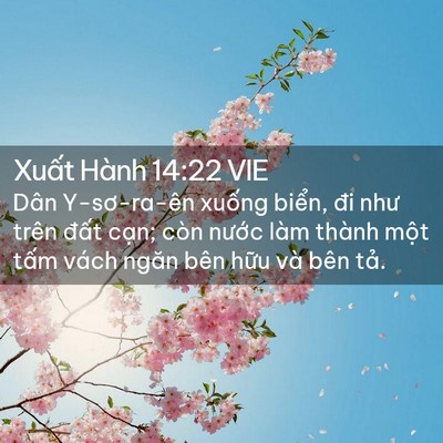 Picture 02 - Xuất Hành 14:22 VIE - Dân Y-sơ-ra-ên xuống biển, đi như trên - Bible Verse Picture