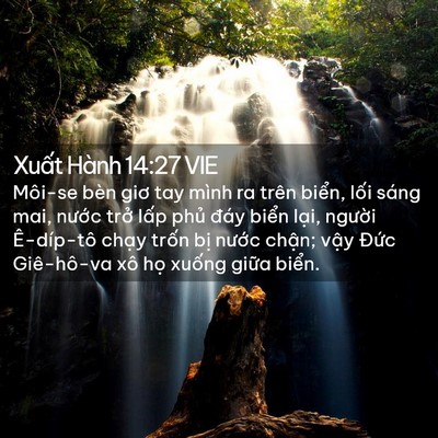 Picture 02 - Xuất Hành 14:27 VIE - Môi-se bèn giơ tay mình ra trên biển, - Bible Verse Picture
