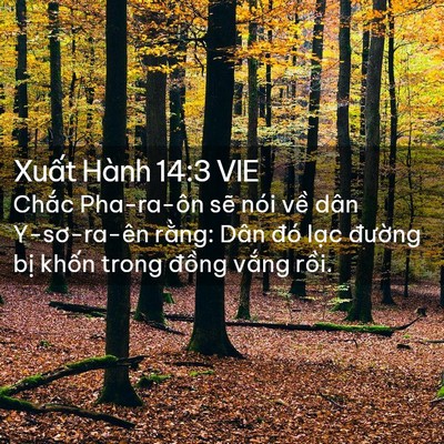 Picture 02 - Xuất Hành 14:3 VIE - Chắc Pha-ra-ôn sẽ nói về dân - Bible Verse Picture
