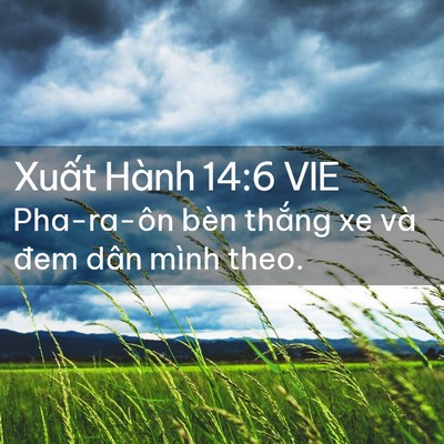 Picture 02 - Xuất Hành 14:6 VIE - Pha-ra-ôn bèn thắng xe và đem dân mình - Bible Verse Picture