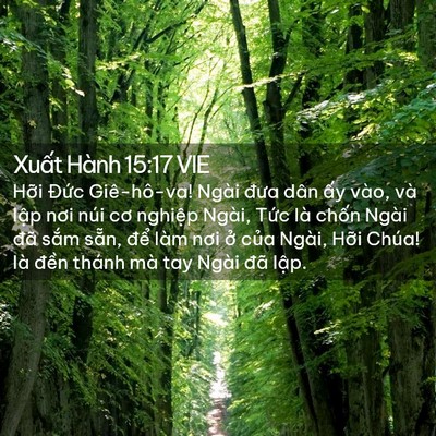 Picture 02 - Xuất Hành 15:17 VIE - Hỡi Đức Giê-hô-va! Ngài đưa dân ấy - Bible Verse Picture