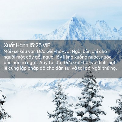 Picture 02 - Xuất Hành 15:25 VIE - Môi-se kêu van Đức Giê-hô-va; Ngài bèn - Bible Verse Picture