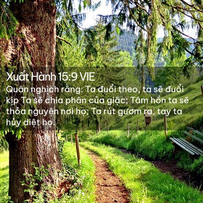 Picture 02 - Xuất Hành 15:9 VIE - Quân nghịch rằng: Ta đuổi theo, ta sẽ - Bible Verse Picture