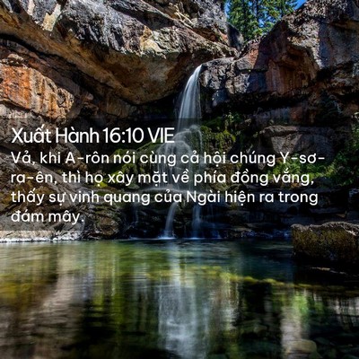 Picture 02 - Xuất Hành 16:10 VIE - Vả, khi A-rôn nói cùng cả hội chúng - Bible Verse Picture