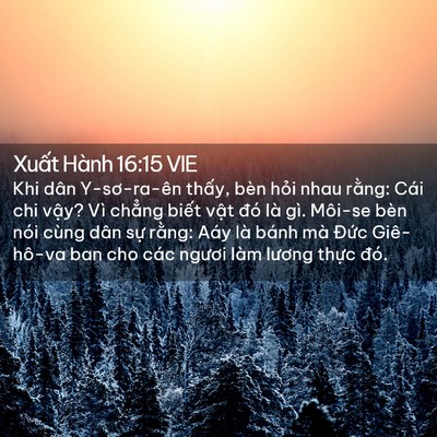 Picture 02 - Xuất Hành 16:15 VIE - Khi dân Y-sơ-ra-ên thấy, bèn hỏi nhau - Bible Verse Picture