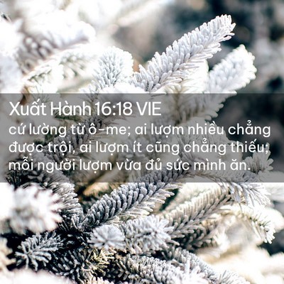 Picture 02 - Xuất Hành 16:18 VIE - cứ lường từ ô-me; ai lượm nhiều - Bible Verse Picture
