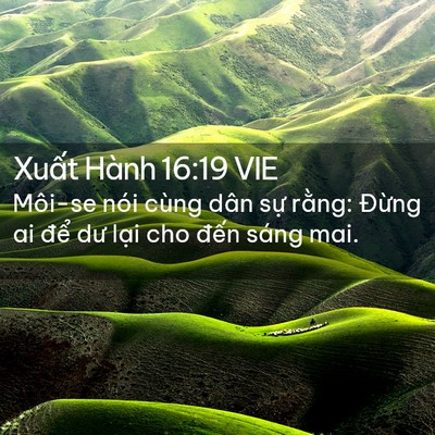 Picture 02 - Xuất Hành 16:19 VIE - Môi-se nói cùng dân sự rằng: Đừng ai - Bible Verse Picture