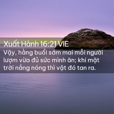 Picture 02 - Xuất Hành 16:21 VIE - Vậy, hằng buổi sớm mai mỗi người - Bible Verse Picture