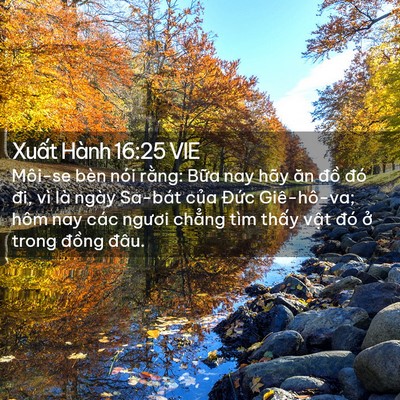 Picture 02 - Xuất Hành 16:25 VIE - Môi-se bèn nói rằng: Bữa nay hãy ăn - Bible Verse Picture