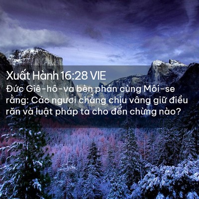 Picture 02 - Xuất Hành 16:28 VIE - Đức Giê-hô-va bèn phán cùng Môi-se - Bible Verse Picture