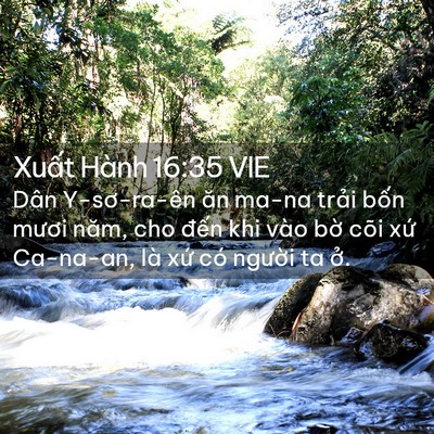 Picture 02 - Xuất Hành 16:35 VIE - Dân Y-sơ-ra-ên ăn ma-na trải bốn mươi - Bible Verse Picture