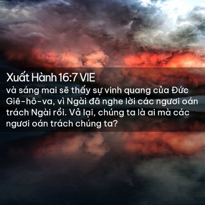 Picture 02 - Xuất Hành 16:7 VIE - và sáng mai sẽ thấy sự vinh quang của - Bible Verse Picture