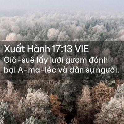 Picture 02 - Xuất Hành 17:13 VIE - Giô-suê lấy lưỡi gươm đánh bại - Bible Verse Picture