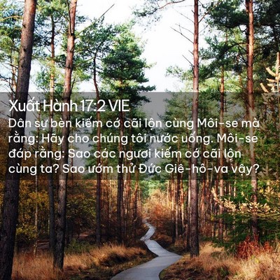 Picture 02 - Xuất Hành 17:2 VIE - Dân sự bèn kiếm cớ cãi lộn cùng - Bible Verse Picture