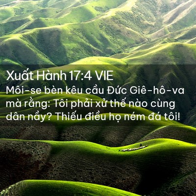 Picture 02 - Xuất Hành 17:4 VIE - Môi-se bèn kêu cầu Đức Giê-hô-va mà - Bible Verse Picture