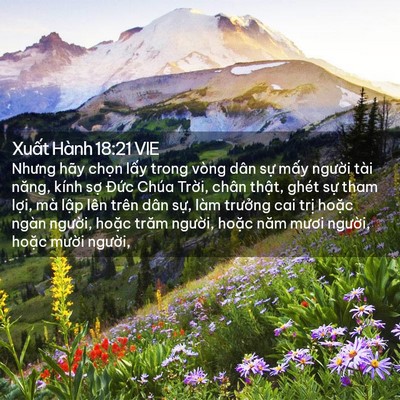 Picture 02 - Xuất Hành 18:21 VIE - Nhưng hãy chọn lấy trong vòng dân sự - Bible Verse Picture