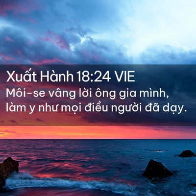 Picture 02 - Xuất Hành 18:24 VIE - Môi-se vâng lời ông gia mình, làm y như - Bible Verse Picture