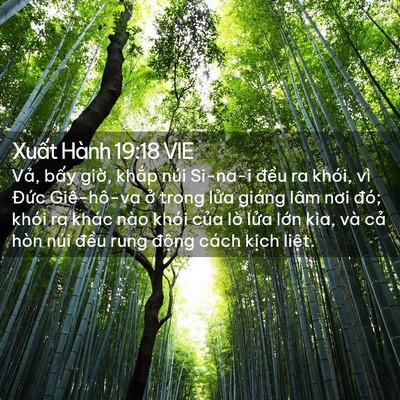 Picture 02 - Xuất Hành 19:18 VIE - Vả, bấy giờ, khắp núi Si-na-i đều ra - Bible Verse Picture
