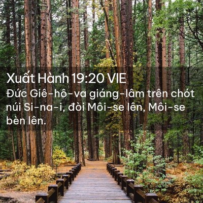 Picture 02 - Xuất Hành 19:20 VIE - Đức Giê-hô-va giáng-lâm trên chót núi - Bible Verse Picture