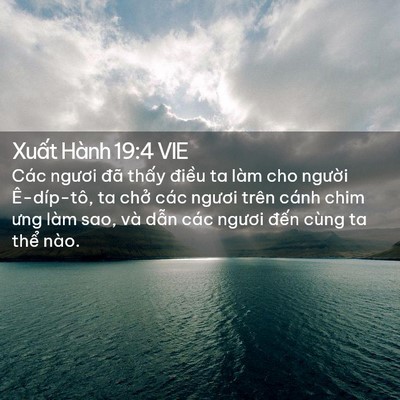 Picture 02 - Xuất Hành 19:4 VIE - Các ngươi đã thấy điều ta làm cho - Bible Verse Picture