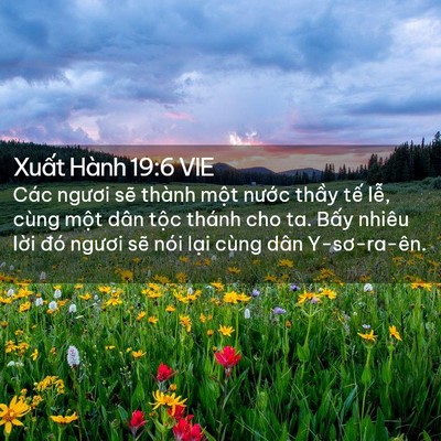 Picture 02 - Xuất Hành 19:6 VIE - Các ngươi sẽ thành một nước thầy - Bible Verse Picture