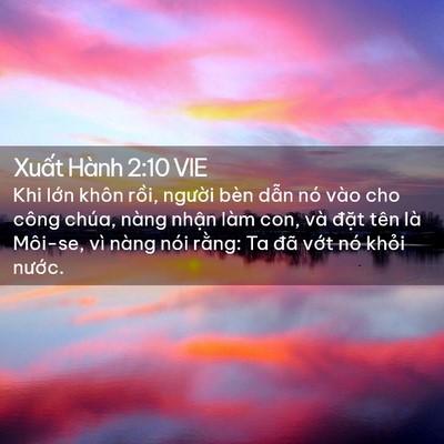 Picture 02 - Xuất Hành 2:10 VIE - Khi lớn khôn rồi, người bèn dẫn nó - Bible Verse Picture