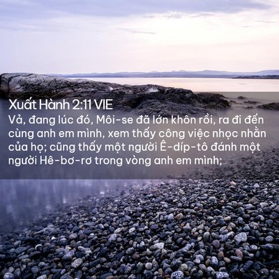 Picture 02 - Xuất Hành 2:11 VIE - Vả, đang lúc đó, Môi-se đã lớn khôn - Bible Verse Picture