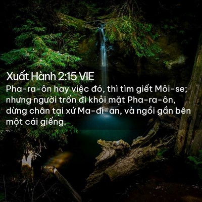 Picture 02 - Xuất Hành 2:15 VIE - Pha-ra-ôn hay việc đó, thì tìm giết - Bible Verse Picture