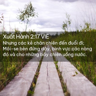 Picture 02 - Xuất Hành 2:17 VIE - Nhưng các kẻ chăn chiên đến đuổi đi; - Bible Verse Picture