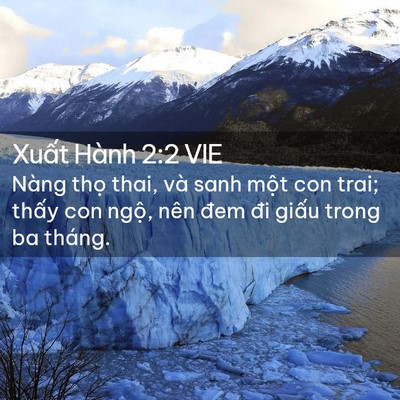 Picture 02 - Xuất Hành 2:2 VIE - Nàng thọ thai, và sanh một con trai; thấy - Bible Verse Picture
