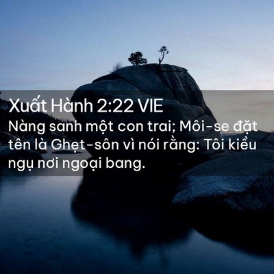 Picture 02 - Xuất Hành 2:22 VIE - Nàng sanh một con trai; Môi-se đặt tên - Bible Verse Picture