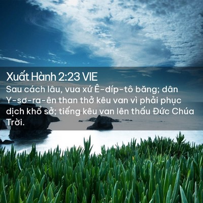 Picture 02 - Xuất Hành 2:23 VIE - Sau cách lâu, vua xứ Ê-díp-tô băng; dân - Bible Verse Picture