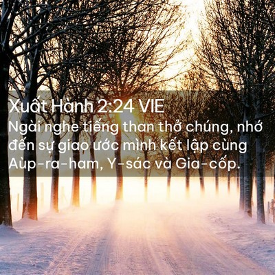Picture 02 - Xuất Hành 2:24 VIE - Ngài nghe tiếng than thở chúng, nhớ - Bible Verse Picture