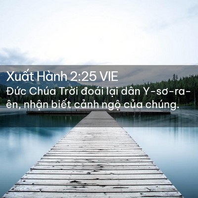 Picture 02 - Xuất Hành 2:25 VIE - Đức Chúa Trời đoái lại dân - Bible Verse Picture