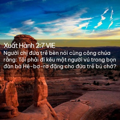 Picture 02 - Xuất Hành 2:7 VIE - Người chị đứa trẻ bèn nói cùng công - Bible Verse Picture