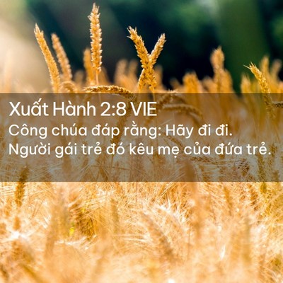 Picture 02 - Xuất Hành 2:8 VIE - Công chúa đáp rằng: Hãy đi đi. Người - Bible Verse Picture