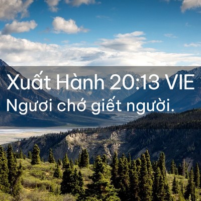 Picture 02 - Xuất Hành 20:13 VIE - Ngươi chớ giết - Bible Verse Picture