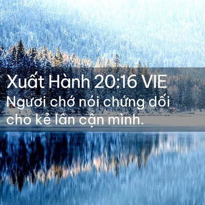 Picture 02 - Xuất Hành 20:16 VIE - Ngươi chớ nói chứng dối cho kẻ lân - Bible Verse Picture