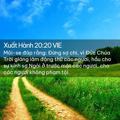 Picture 02 - Xuất Hành 20:20 VIE - Môi-se đáp rằng: Đừng sợ chi, vì - Bible Verse Picture