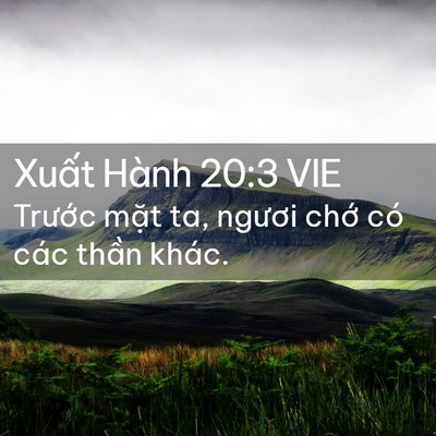 Picture 02 - Xuất Hành 20:3 VIE - Trước mặt ta, ngươi chớ có các thần - Bible Verse Picture