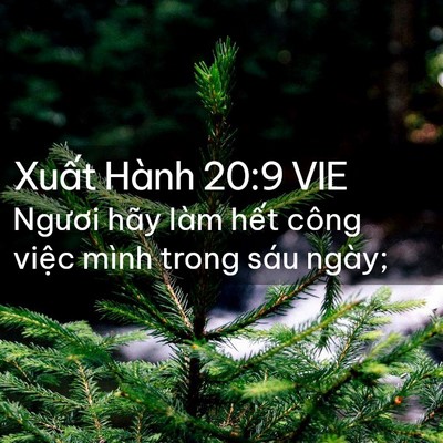 Picture 02 - Xuất Hành 20:9 VIE - Ngươi hãy làm hết công việc mình trong - Bible Verse Picture