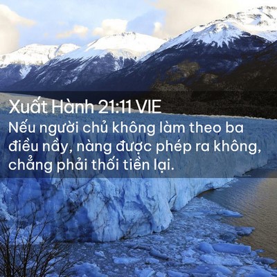 Picture 02 - Xuất Hành 21:11 VIE - Nếu người chủ không làm theo ba điều - Bible Verse Picture