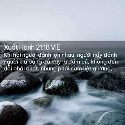 Picture 02 - Xuất Hành 21:18 VIE - Khi hai người đánh lộn nhau, người - Bible Verse Picture
