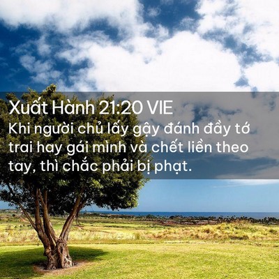 Picture 02 - Xuất Hành 21:20 VIE - Khi người chủ lấy gậy đánh đầy tớ - Bible Verse Picture