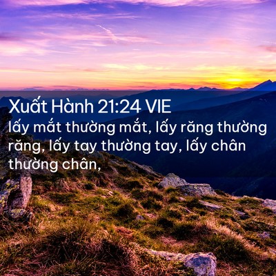 Picture 02 - Xuất Hành 21:24 VIE - lấy mắt thường mắt, lấy răng - Bible Verse Picture