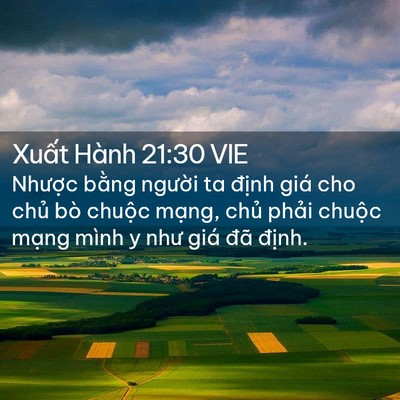 Picture 02 - Xuất Hành 21:30 VIE - Nhược bằng người ta định giá cho - Bible Verse Picture