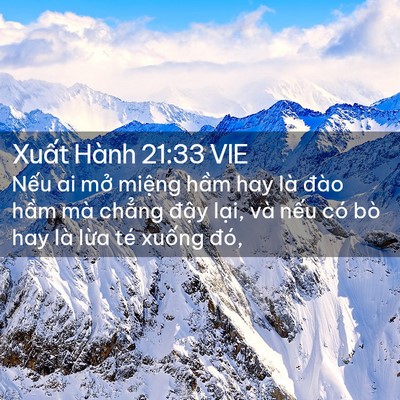 Picture 02 - Xuất Hành 21:33 VIE - Nếu ai mở miệng hầm hay là đào hầm - Bible Verse Picture