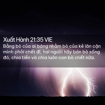 Picture 02 - Xuất Hành 21:35 VIE - Bằng bò của ai báng nhằm bò của kẻ - Bible Verse Picture