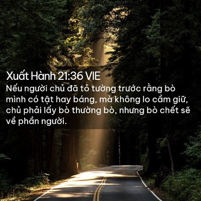 Picture 02 - Xuất Hành 21:36 VIE - Nếu người chủ đã tỏ tường trước - Bible Verse Picture