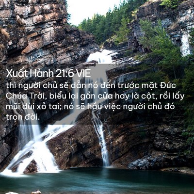 Picture 02 - Xuất Hành 21:6 VIE - thì người chủ sẽ dẫn nó đến - Bible Verse Picture